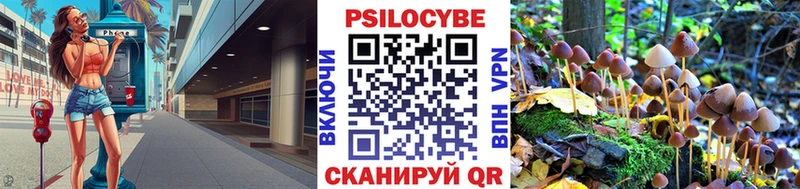 Псилоцибиновые грибы прущие грибы  где продают наркотики  Приволжский 