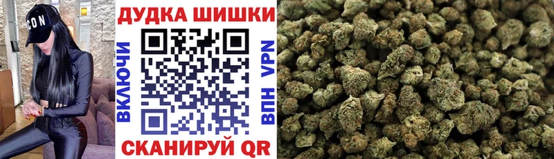 где найти наркотики  Приволжский  Конопля семена 